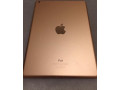 apple-ipad-97-64-gb-pink-small-2