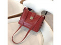 handbag-small-2