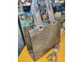 handbag-small-2