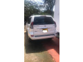 toyota-prado-small-2