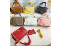 handbag-small-0