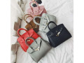 handbag-small-2