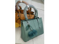 handbag-small-0