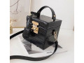 handbag-small-2