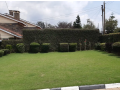 for-sale-5-bedrooms-maisonette-in-the-leafy-section-58-centre-small-1