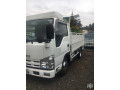 isuzu-elf-small-0