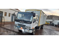 isuzu-frr-small-0