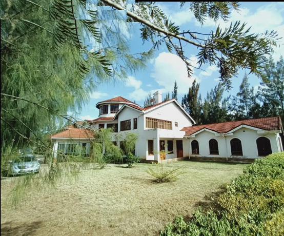 7-bedrooms-all-en-suite-with-2-dsq-in-karen-hardy-big-2