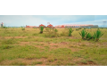 commercial-plot-for-sale-juja-small-2