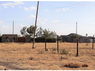 Juja Plots,40 x 80 for sale