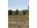 50-by-100-plot-along-kangundo-road-kantafu-small-2