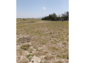 50-by-100-plot-along-kangundo-road-kantafu-small-1