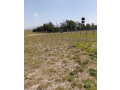 50-by-100-plot-along-kangundo-road-kantafu-small-0