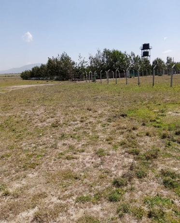 50-by-100-plot-along-kangundo-road-kantafu-big-0