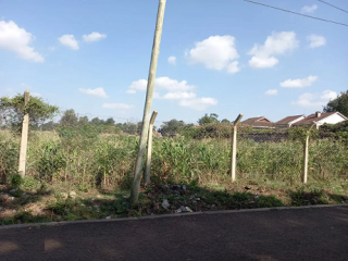 100 Acres for sale in Kitisuru