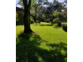 for-sale-karen-65-acres-land-small-0