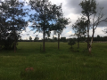 8-acres-for-sale-in-karen-marula-lane-small-2