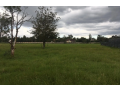 8-acres-for-sale-in-karen-marula-lane-small-0