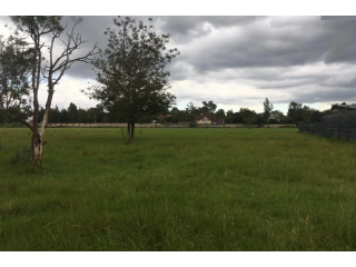 8 Acres for Sale in Karen, Marula Lane