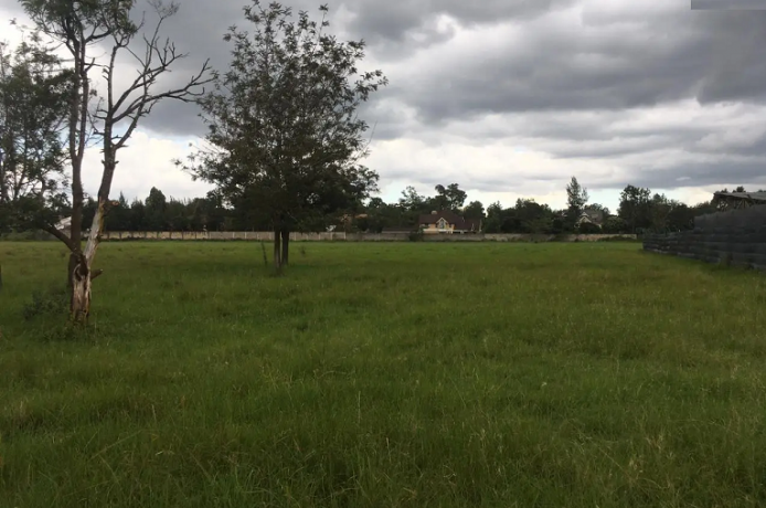 8-acres-for-sale-in-karen-marula-lane-big-0