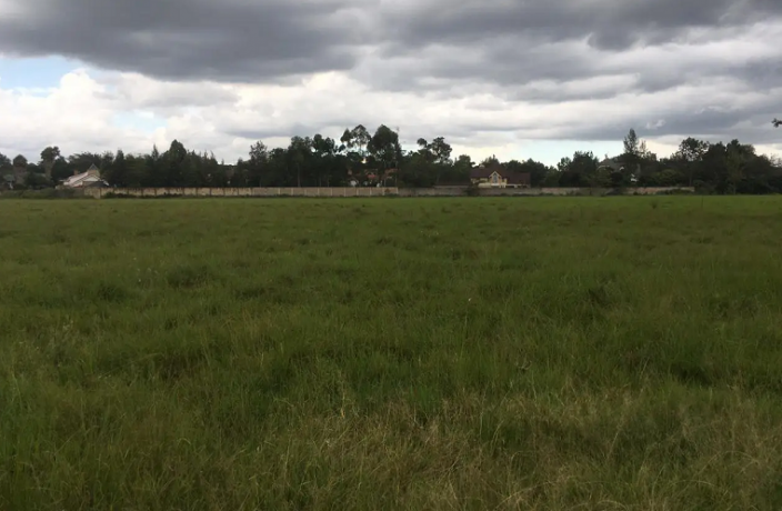 8-acres-for-sale-in-karen-marula-lane-big-1