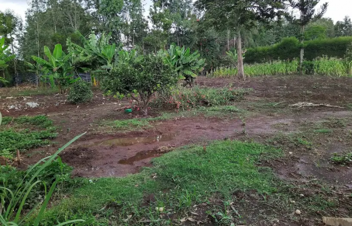 two-05-acre-plots-for-sale-in-karen-marula-lane-big-0