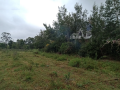 karen-land-for-sale-05-to-1-acre-small-2