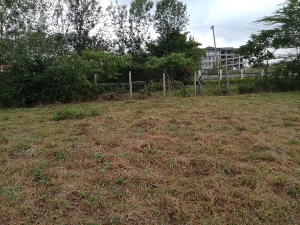 karen-land-for-sale-05-to-1-acre-big-1