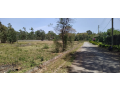 12-acre-for-sale-in-karen-small-2