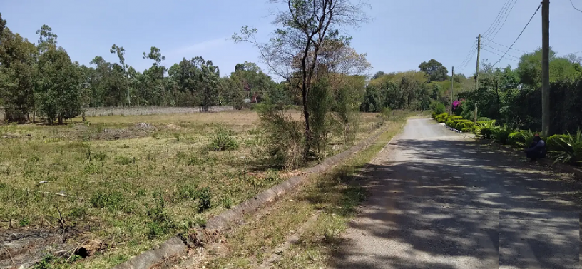 12-acre-for-sale-in-karen-big-2