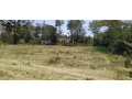 12-acre-for-sale-in-fair-acres-karen-small-0