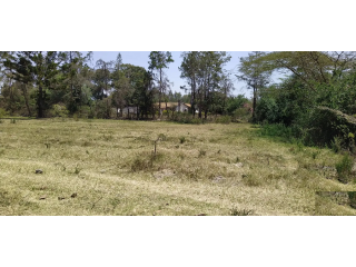 1/2 Acre for Sale in Fair Acres Karen