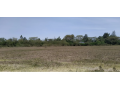 10-acres-for-sale-in-fair-acres-karen-small-0