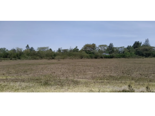 10 Acres for Sale in Fair Acres Karen