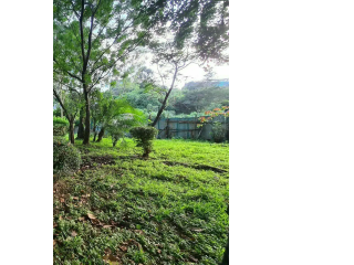 1/2  acre  Plot at Westland for sale