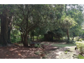 075-acre-for-sale-in-westlands-small-2