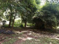 075-acre-for-sale-in-westlands-small-1