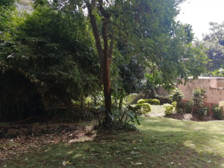 0.75 Acre for Sale in Westlands