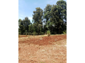 12-acres-plot-near-lenana-school-small-2