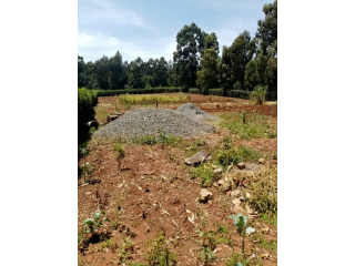 1.2 Acres Plot Near Lenana School