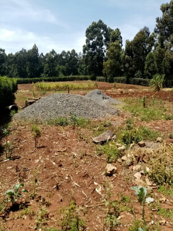 12-acres-plot-near-lenana-school-big-0