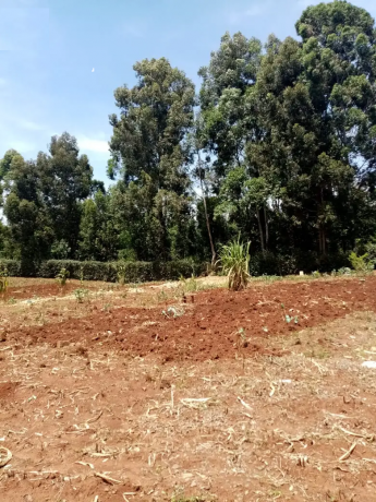 12-acres-plot-near-lenana-school-big-2