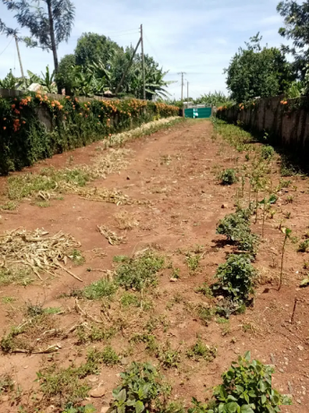 12-acres-plot-near-lenana-school-big-1