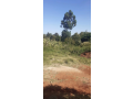 plot-for-sale-in-dagoretti-small-0