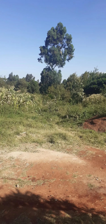 plot-for-sale-in-dagoretti-big-0