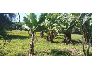 Prime Plot for Sale  Thome