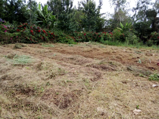 Half Acre for Sale on Silanga Rd Karen.