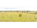 kitengela-18-acre-plots-small-0