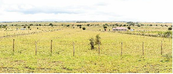 kitengela-18-acre-plots-big-0