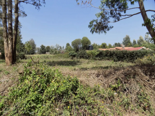 For Sale: 1/8 Acre Plot, Ngong.